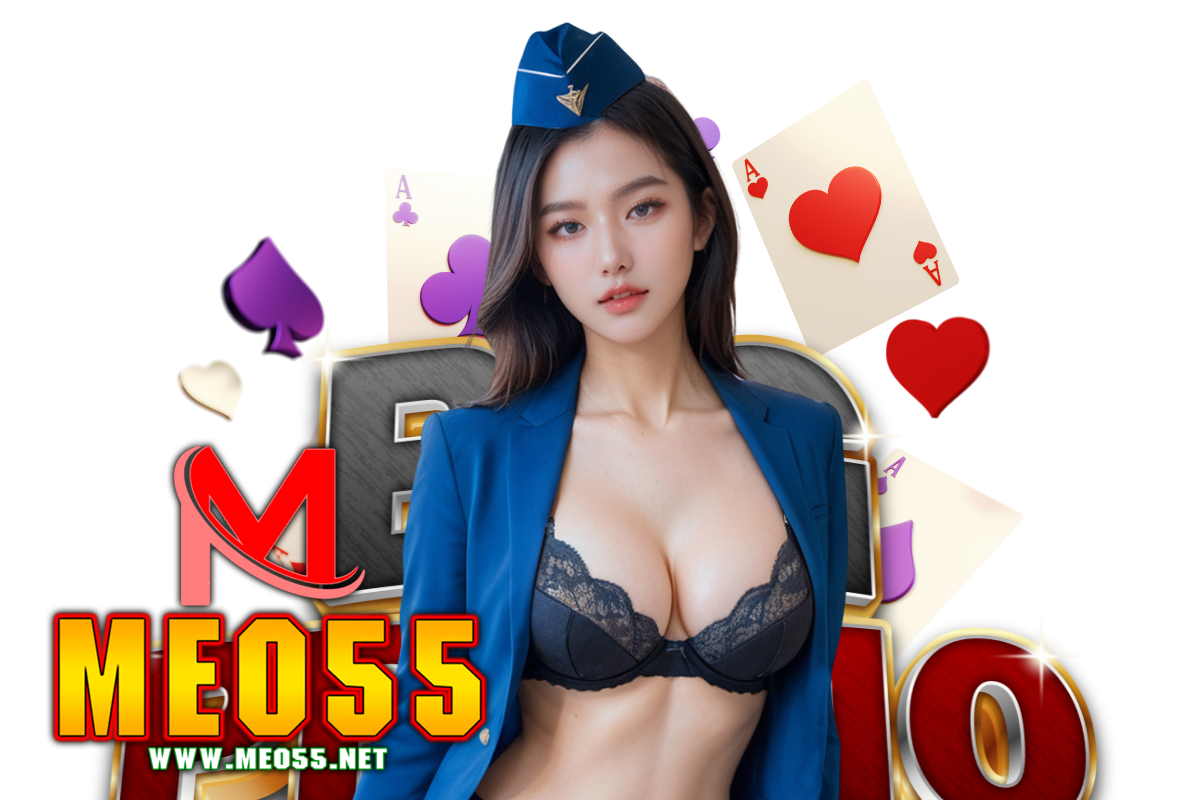 meo55 สมัคร